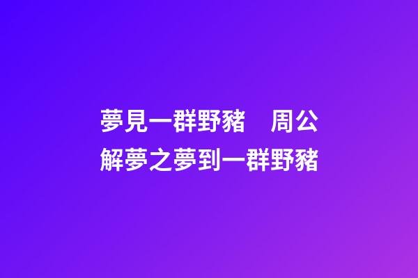 夢見一群野豬　周公解夢之夢到一群野豬